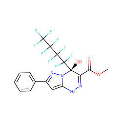 COC(=O)C1=NNc2cc(-c3ccccc3)nn2[C@]1(O)C(F)(F)C(F)(F)C(F)(F)C(F)(F)F ZINC001772576846