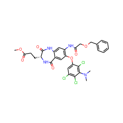 COC(=O)CC[C@H]1NC(=O)c2cc(Oc3cc(Cl)c(Cl)c(N(C)C)c3Cl)c(NC(=O)COCc3ccccc3)cc2NC1=O ZINC001772593883