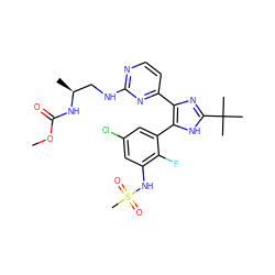 COC(=O)N[C@@H](C)CNc1nccc(-c2nc(C(C)(C)C)[nH]c2-c2cc(Cl)cc(NS(C)(=O)=O)c2F)n1 ZINC000169694667