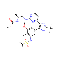COC(=O)N[C@@H](C)CNc1nccc(-c2nc(C(C)(C)C)[nH]c2-c2cc(NS(=O)(=O)C(C)C)c(C)c(OC)c2)n1 ZINC000169694643