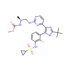 COC(=O)N[C@@H](C)CNc1nccc(-c2nc(C(C)(C)C)[nH]c2-c2cccc(NS(=O)(=O)C3CC3)c2F)n1 ZINC000169694688
