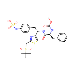 COC(=O)N[C@@H](Cc1ccccc1)C(=O)N[C@@H](Cc1ccc(NS(=O)(=O)O)cc1)c1csc(CS(=O)(=O)C(C)(C)C)n1 ZINC000164199877