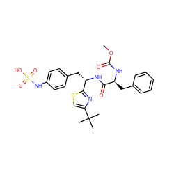 COC(=O)N[C@@H](Cc1ccccc1)C(=O)N[C@@H](Cc1ccc(NS(=O)(=O)O)cc1)c1nc(C(C)(C)C)cs1 ZINC000113898036