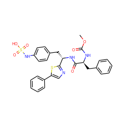 COC(=O)N[C@@H](Cc1ccccc1)C(=O)N[C@@H](Cc1ccc(NS(=O)(=O)O)cc1)c1ncc(-c2ccccc2)s1 ZINC000116903421