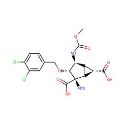 COC(=O)N[C@H]1[C@H]2[C@H](C(=O)O)[C@H]2[C@](N)(C(=O)O)[C@@H]1OCc1ccc(Cl)c(Cl)c1 ZINC000145797580