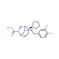 COC(=O)N1C[C@@H]2[C@@H](N3CCCC3)CC[C@H]1CN2C(=O)Cc1ccc(Cl)c(Cl)c1 ZINC000049111173