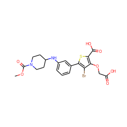 COC(=O)N1CCC(Nc2cccc(-c3sc(C(=O)O)c(OCC(=O)O)c3Br)c2)CC1 ZINC000028711540