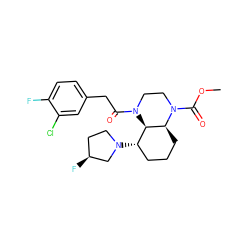 COC(=O)N1CCN(C(=O)Cc2ccc(F)c(Cl)c2)[C@@H]2[C@@H](N3CC[C@H](F)C3)CCC[C@@H]21 ZINC001772625289