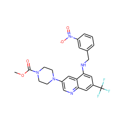 COC(=O)N1CCN(c2cnc3cc(C(F)(F)F)cc(NCc4cccc([N+](=O)[O-])c4)c3c2)CC1 ZINC000071329905