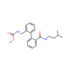 COC(=O)NCc1ccccc1-c1ccccc1C(=O)NCCC(C)C ZINC000013493171