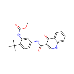 COC(=O)Nc1cc(NC(=O)c2c[nH]c3ccccc3c2=O)ccc1C(C)(C)C ZINC000113732832