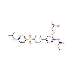 COC(=O)Nc1ccc(N2CCN(S(=O)(=O)c3ccc(OC(C)C)cc3)CC2)cc1OCC(=O)O ZINC001772629785