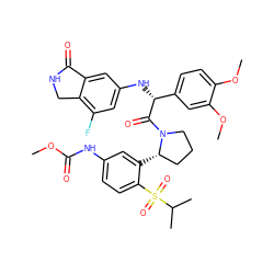 COC(=O)Nc1ccc(S(=O)(=O)C(C)C)c([C@H]2CCCN2C(=O)[C@H](Nc2cc(F)c3c(c2)C(=O)NC3)c2ccc(OC)c(OC)c2)c1 ZINC000164364661