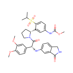 COC(=O)Nc1ccc(S(=O)(=O)C(C)C)c([C@H]2CCCN2C(=O)[C@H](Nc2ccc3c(c2)C(=O)NC3)c2ccc(OC)c(OC)c2)c1 ZINC000164372540