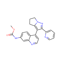 COC(=O)Nc1ccc2c(-c3c(-c4ccccn4)nn4c3CCC4)ccnc2c1 ZINC000045318249