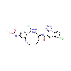 COC(=O)Nc1ccc2c(c1)/N=C/CCCC[C@H](NC(=O)/C=C/c1cc(Cl)ccc1-n1cnnn1)c1nc-2c(F)[nH]1 ZINC000203913179