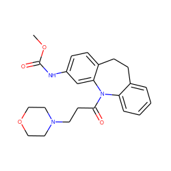 COC(=O)Nc1ccc2c(c1)N(C(=O)CCN1CCOCC1)c1ccccc1CC2 ZINC000019338316