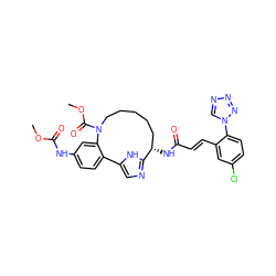 COC(=O)Nc1ccc2c(c1)N(C(=O)OC)CCCCC[C@H](NC(=O)/C=C/c1cc(Cl)ccc1-n1cnnn1)c1ncc-2[nH]1 ZINC000230573716