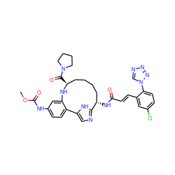 COC(=O)Nc1ccc2c(c1)N[C@@H](C(=O)N1CCCC1)CCCC[C@H](NC(=O)/C=C/c1cc(Cl)ccc1-n1cnnn1)c1ncc-2[nH]1 ZINC000230573515