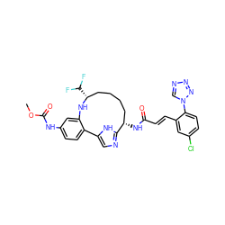 COC(=O)Nc1ccc2c(c1)N[C@H](C(F)F)CCCC[C@H](NC(=O)/C=C/c1cc(Cl)ccc1-n1cnnn1)c1ncc-2[nH]1 ZINC000230573418