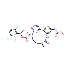 COC(=O)Nc1ccc2c(c1)NC(=O)[C@@H](C)CCC[C@H](N1CC[C@H](c3c(F)ccc(Cl)c3F)OC1=O)c1cc-2cnn1 ZINC000169710298