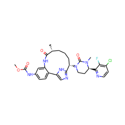 COC(=O)Nc1ccc2c(c1)NC(=O)[C@H](C)CCC[C@H](N1CC[C@H](c3nccc(Cl)c3F)N(C)C1=O)c1ncc-2[nH]1 ZINC000205443665