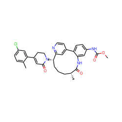 COC(=O)Nc1ccc2c(c1)NC(=O)[C@H](C)CCC[C@H](N1CCC(c3cc(Cl)ccc3C)=CC1=O)c1cc-2ccn1 ZINC000220102928