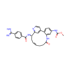 COC(=O)Nc1ccc2c(c1)NC(=O)CC/C=C/C[C@H](NC(=O)c1ccc(C(=N)N)cc1)c1cc-2ccn1 ZINC000221616859