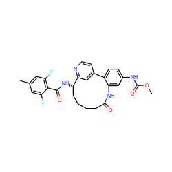 COC(=O)Nc1ccc2c(c1)NC(=O)CCCC[C@H](NC(=O)c1c(F)cc(C)cc1F)c1cc-2ccn1 ZINC000198831946