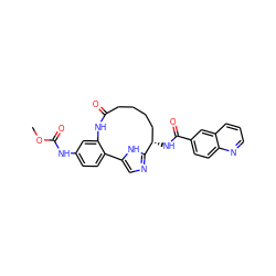 COC(=O)Nc1ccc2c(c1)NC(=O)CCCC[C@H](NC(=O)c1ccc3ncccc3c1)c1ncc-2[nH]1 ZINC000230572944