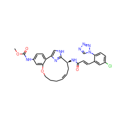 COC(=O)Nc1ccc2c(c1)OCCC/C=C/C[C@H](NC(=O)/C=C/c1cc(Cl)ccc1-n1cnnn1)c1nc-2c[nH]1 ZINC000114228575