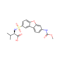 COC(=O)Nc1ccc2c(c1)oc1ccc(S(=O)(=O)N[C@@H](C(=O)O)C(C)C)cc12 ZINC000040914849