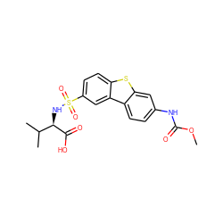 COC(=O)Nc1ccc2c(c1)sc1ccc(S(=O)(=O)N[C@@H](C(=O)O)C(C)C)cc12 ZINC000043011951