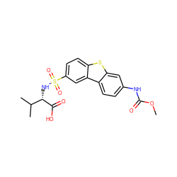 COC(=O)Nc1ccc2c(c1)sc1ccc(S(=O)(=O)N[C@H](C(=O)O)C(C)C)cc12 ZINC000043011948