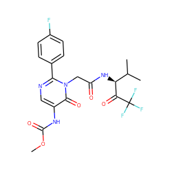 COC(=O)Nc1cnc(-c2ccc(F)cc2)n(CC(=O)N[C@H](C(=O)C(F)(F)F)C(C)C)c1=O ZINC000013736126