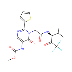 COC(=O)Nc1cnc(-c2cccs2)n(CC(=O)N[C@H](C(=O)C(F)(F)F)C(C)C)c1=O ZINC000013516087