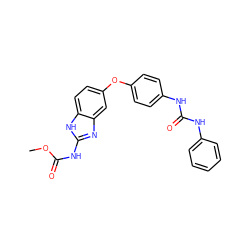 COC(=O)Nc1nc2cc(Oc3ccc(NC(=O)Nc4ccccc4)cc3)ccc2[nH]1 ZINC000014965477