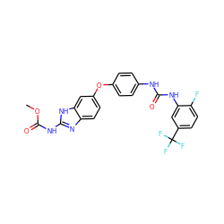 COC(=O)Nc1nc2ccc(Oc3ccc(NC(=O)Nc4cc(C(F)(F)F)ccc4F)cc3)cc2[nH]1 ZINC000016052298