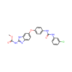 COC(=O)Nc1nc2ccc(Oc3ccc(NC(=O)Nc4cccc(Cl)c4)cc3)cc2[nH]1 ZINC000014965492