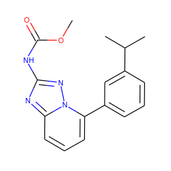 COC(=O)Nc1nc2cccc(-c3cccc(C(C)C)c3)n2n1 ZINC000068196692