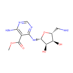 COC(=O)c1c(N)ncnc1N[C@@H]1O[C@H](CN)[C@@H](O)[C@H]1O ZINC000003826246