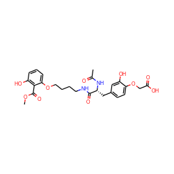 COC(=O)c1c(O)cccc1OCCCCNC(=O)[C@@H](Cc1ccc(OCC(=O)O)c(O)c1)NC(C)=O ZINC000003928691