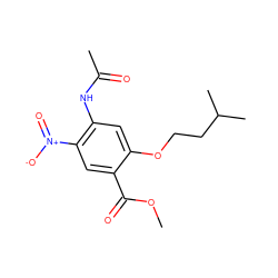 COC(=O)c1cc([N+](=O)[O-])c(NC(C)=O)cc1OCCC(C)C ZINC000040953969