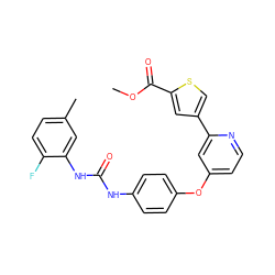 COC(=O)c1cc(-c2cc(Oc3ccc(NC(=O)Nc4cc(C)ccc4F)cc3)ccn2)cs1 ZINC000116235877