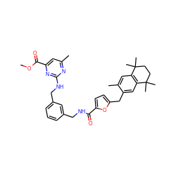 COC(=O)c1cc(C)nc(NCc2cccc(CNC(=O)c3ccc(Cc4cc5c(cc4C)C(C)(C)CCC5(C)C)o3)c2)n1 ZINC000027109794