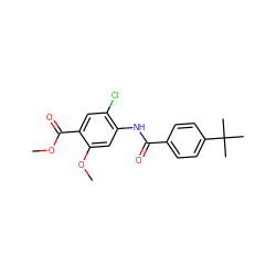 COC(=O)c1cc(Cl)c(NC(=O)c2ccc(C(C)(C)C)cc2)cc1OC ZINC000000943579