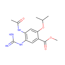 COC(=O)c1cc(NC(=N)N)c(NC(C)=O)cc1OC(C)C ZINC000040829205