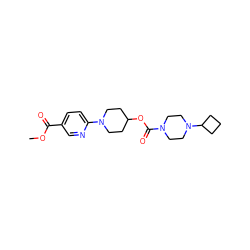 COC(=O)c1ccc(N2CCC(OC(=O)N3CCN(C4CCC4)CC3)CC2)nc1 ZINC000223500047