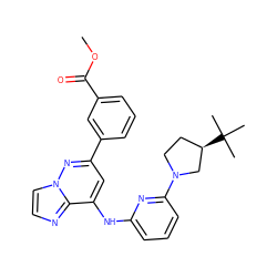 COC(=O)c1cccc(-c2cc(Nc3cccc(N4CC[C@@H](C(C)(C)C)C4)n3)c3nccn3n2)c1 ZINC000207402438