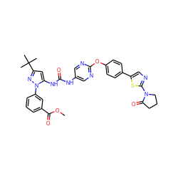 COC(=O)c1cccc(-n2nc(C(C)(C)C)cc2NC(=O)Nc2cnc(Oc3ccc(-c4cnc(N5CCCC5=O)s4)cc3)nc2)c1 ZINC000223440350